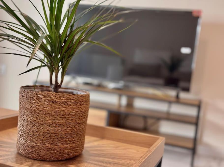 Apartamento En Pleno Centro Con Aparcamiento Opcional 科爾多瓦 外观 照片